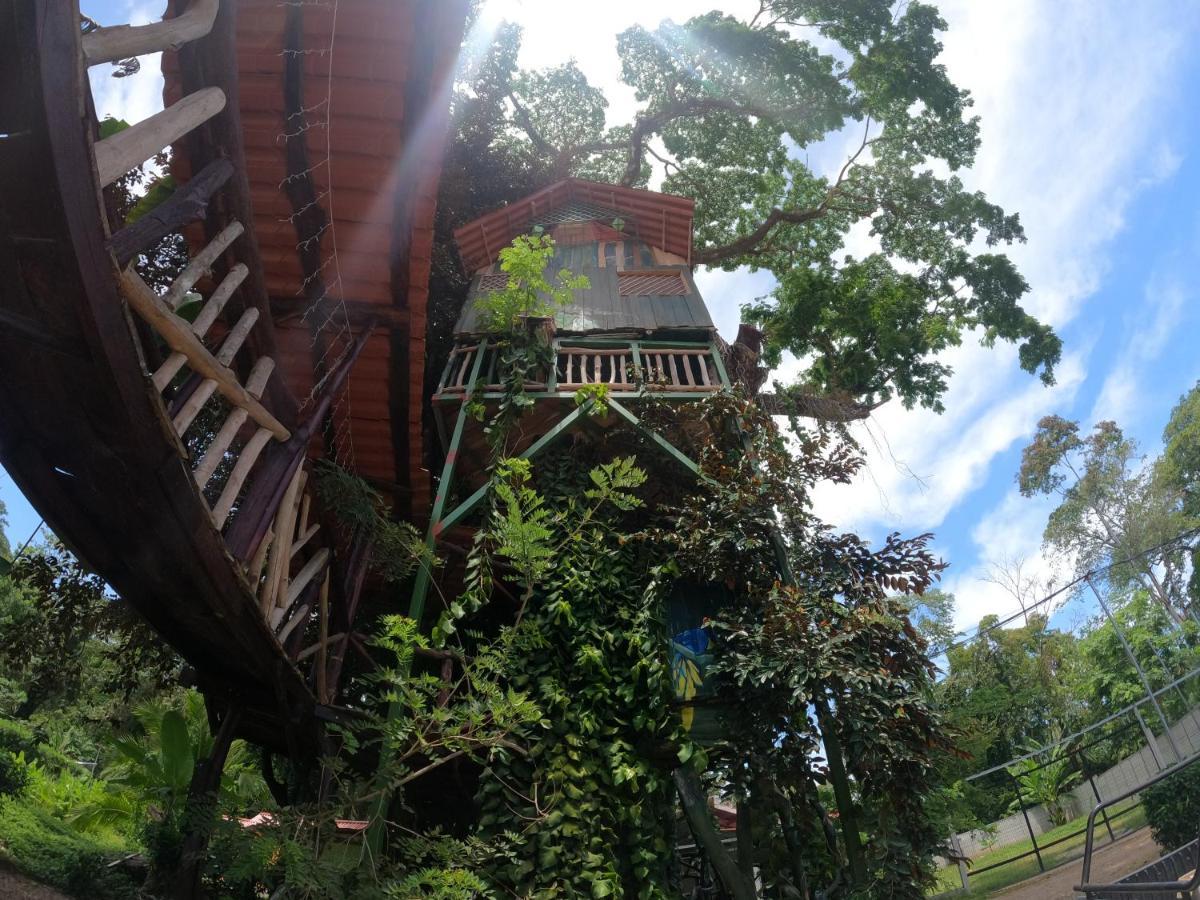 Tree House Samanea Lodge Puerto Limon Exterior foto